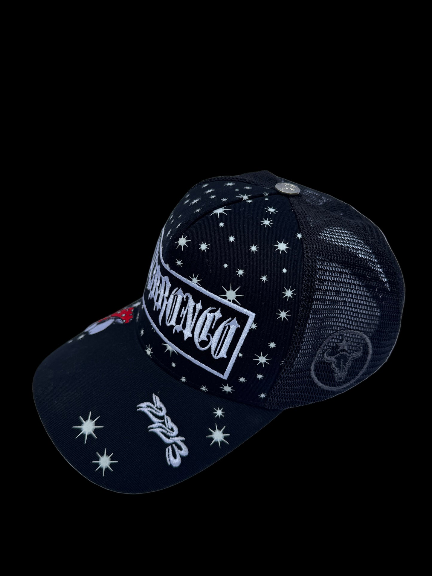 STARGAZER TRUCKER HAT (BLACK)